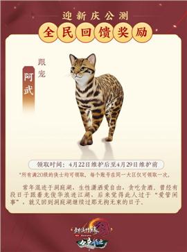 现在天龙八部私服吗